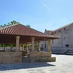 Ivo Vikendica *